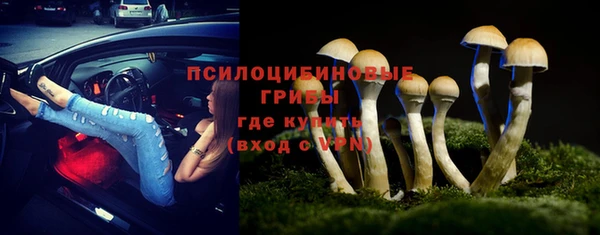 индика Сатка