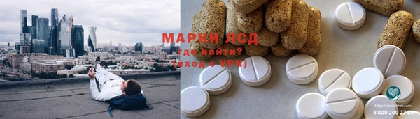индика Сатка