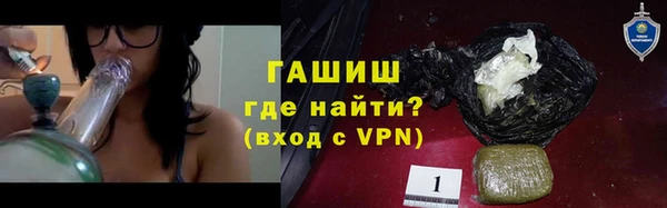 индика Сатка