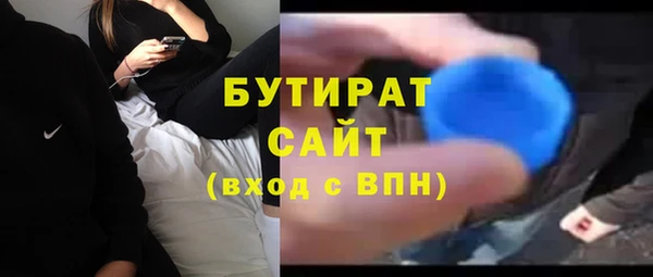 индика Сатка