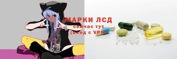 индика Сатка