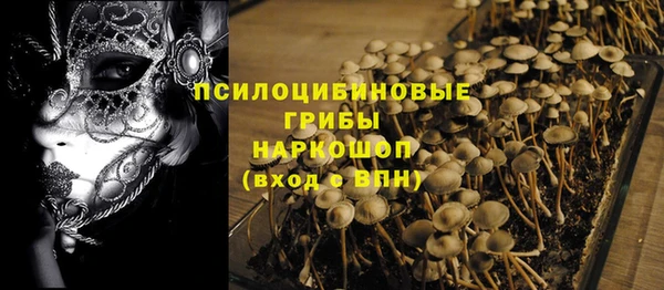 PSILOCYBIN Ростов