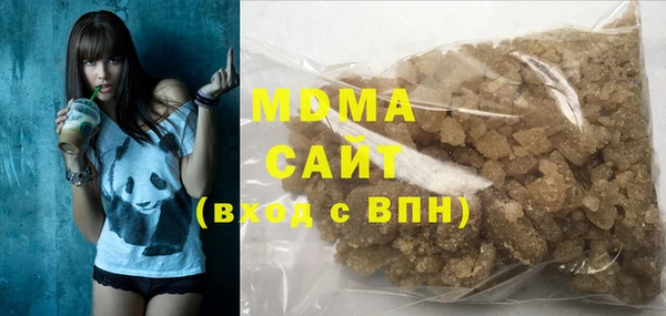 индика Сатка