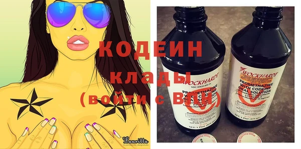 индика Сатка