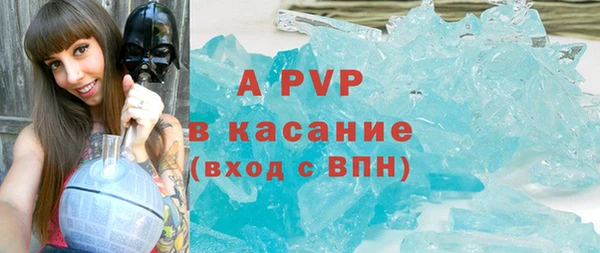 индика Сатка
