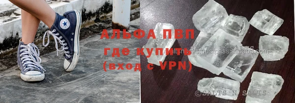 индика Сатка