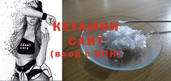 индика Сатка