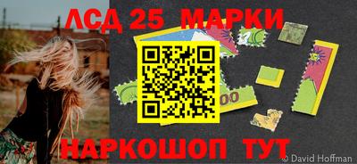 a pvp Кингисепп