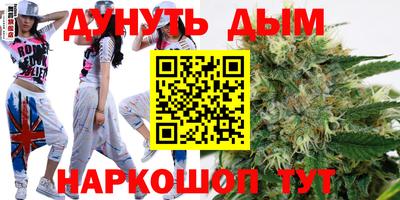 a pvp Кингисепп